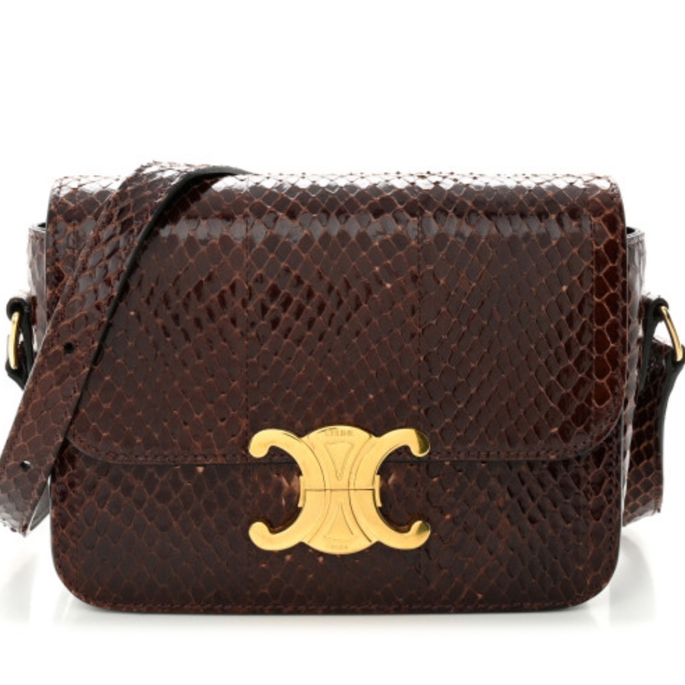 SOLD - Celine Teen Triomphe Bag Brown Watersnake